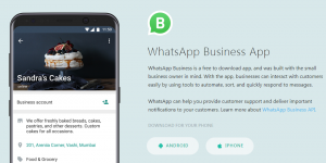 Whatsapp Business Apk